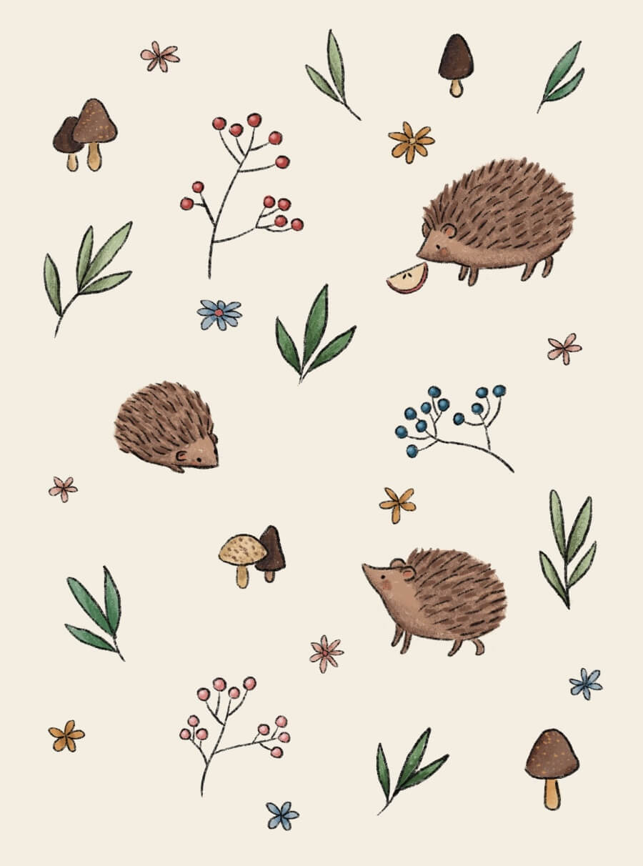 Hedgehogs