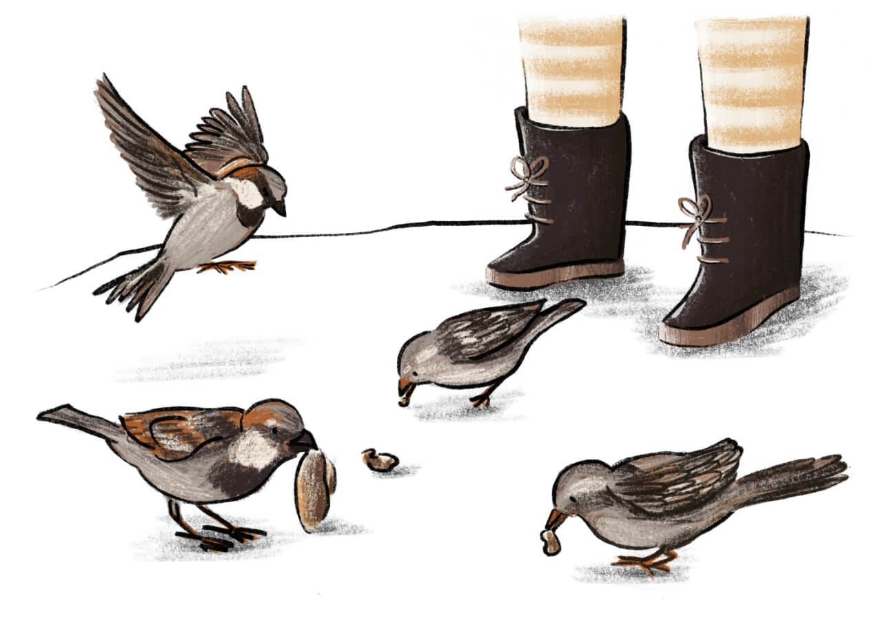Sparrows and boots